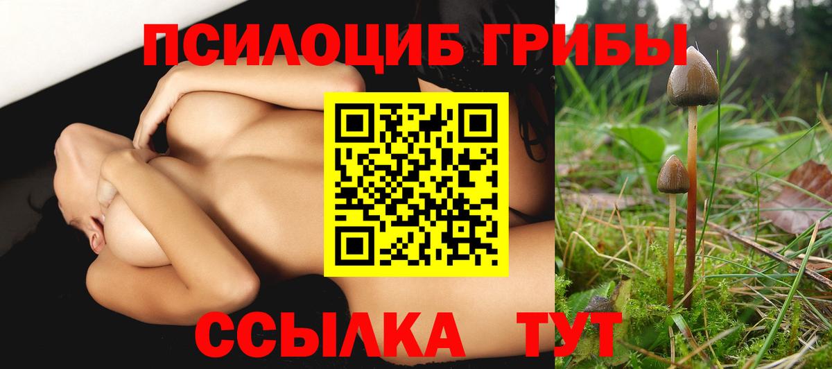 Псилоцибиновые грибы GOLDEN TEACHER  Псилоцибиновые грибы GOLDEN TEACHER  Татарск  Вход с VPN 
